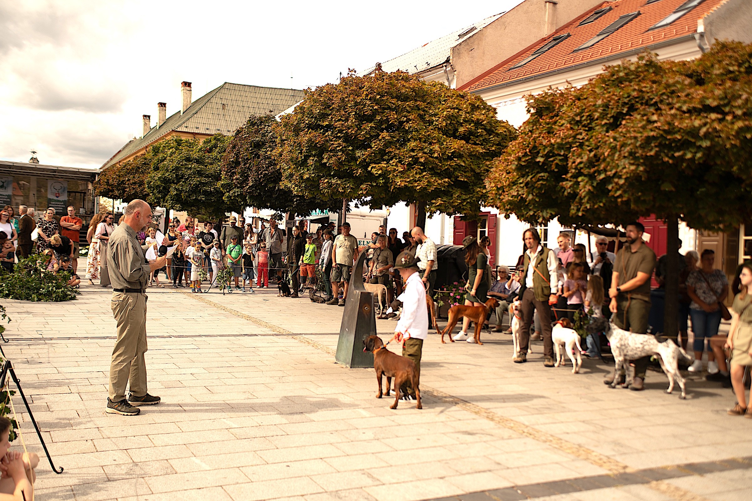 dsc_0818_89041dsc_0818.jpg